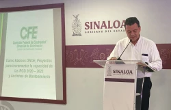CFE podará árboles para evitar problemas de energía eléctrica
