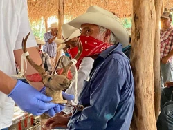 En ceremonia histórica, pueblo yaqui recibe el Maaso Koba y objetos ceremoniales repatriados desde Suecia