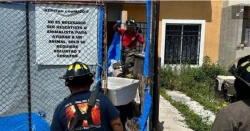 Hallan a 23 perros sin vida en supuesto refugio de animales en Cancún