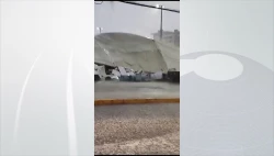 Daños preliminares en Mazatlán por tormenta eléctrica y vientos, por arriba de los 10 millones de pesos: Alcalde