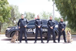 Disminuye homicidio en Sonora 17 por ciento en 2022: Secretaría de Seguridad