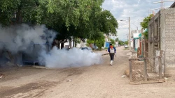 Regidor Reynaldo González Meza inicia campaña de fumigación contra el dengue