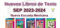 “Modificaciones en libros de texto deben admitirse”: RRM