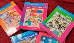La oposición está politizando el tema de los libros: Ana Ayala