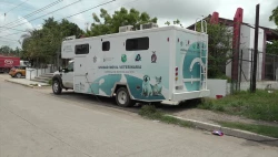 Camión esterilizador de perros y gatos estará toda la semana en la Colonia Fco. I Madero en Mazatlán