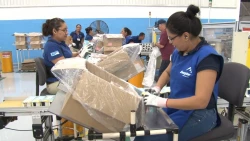 Aumenta empleo en Sonora en julio de 2023: Secretaría de Economía