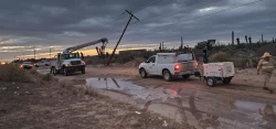 Se recupera el suministro eléctrico del 53% de afectados por "Hilary" en Sonora y Baja California Sur
