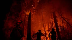Más de 35 mil personas desplazadas por incendios forestales en Canadá