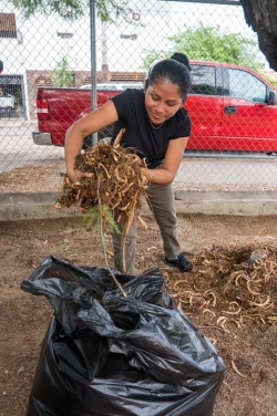 Invita SEC Sonora a participar en la campaña de limpieza "Pilas con el aseo".
