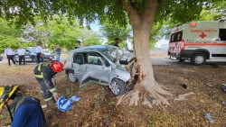 ¡Chocan contra un árbol! Pareja resulta lesionada en accidente vial