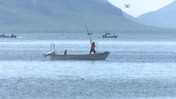 Pescadores piden se adelante el levantamiento de la veda del camarón
