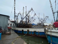 Eliminación de programas pesqueros continúa afectando a productores