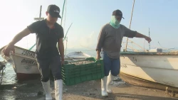 Por acuerdo con pescadores el levantamiento de veda será regionalizado