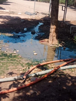 Vecinos de compuertas se quejan de drenajes tapados