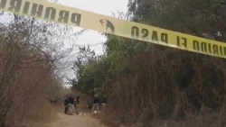 Homicidios mantiene una tendencia a la alza del 4.5% en Sinaloa