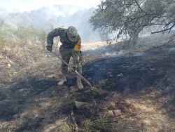 Se logra 100% de control en incendio forestal de los Valles de  Ímuris y Bacadéhuachi