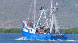 Inició la captura de camarón en altamar, con amenazas de parte de ribereños