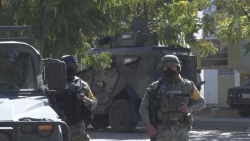México reporta un 20% menos en homicidios en Agosto