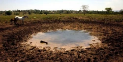 Proponen especialistas de la U.A.S. alternativas para combatir sequía