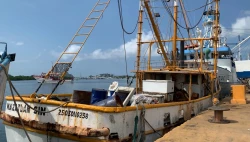 Barcos camaroneros de Mazatlán retornan sin producto a puerto debido a fallas mecánicas