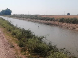Lo ideal sería que los canales de conducción de agua estén entubados, pero es muy caro: GVL