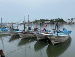Buenas pescas, malos precios, señalan pescadores de bahía en Ahome