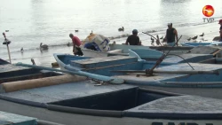 Entregarán apoyos a pescadores de Sinaloa
