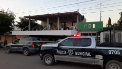 Suma Sinaloa otro feminicidio en grado de tentativa
