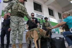 Realizan la SSPM y marina operativo con binomio canino en la central de autobuses