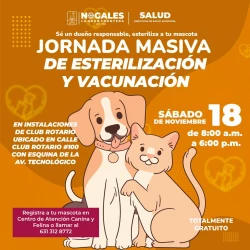 Invitan a jornada masiva de castración este sábado en Nogales