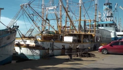 Barcos camaroneros se quedan “amarrados"  para segundo viaje