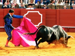 Un juez dicta suspensión provisional de las corridas de toros en Guadalajara
