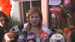 Se contabilizan 5 mil carpetas de investigación por violencia familiar en Sinaloa