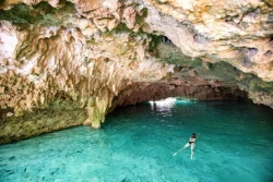 Cenotes de Cancún: descubre y explora las joyas acuáticas