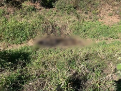 Encuentran cuerpo de hombre en Huerta de Isla del Bosque, Escuinapa
