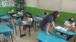 Falta de políticas públicas generan malos resultados en PISA