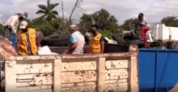 700 toneladas de cacharros se han recolectado en Ahome en campañas de prevención contra el dengue