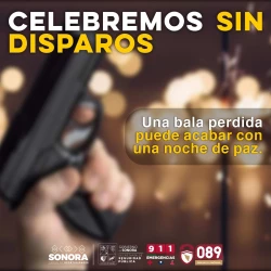 Exhorta Secretaría de Seguridad a celebrar el fin de año sin disparos al aire