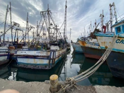 Barcos de Mazatlán podrían animarse a pescar iniciando el 2024