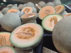 Descartan Senasica y Cofepris brote de salmonella en Estados Unidos y Canadá por melón sonorense
