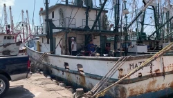 Solo el 25 por ciento de barcos camaroneros de Mazatlán saldrá a pescar en inicio de 2024