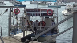 Paseos en catamarán y yates en la bahía de Mazatlán disminuyen en enero
