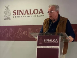 Reducen la siembra de maíz para el 2024 en Sinaloa