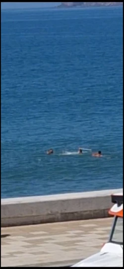 Hombre escapa y se introduce al mar agrediendo con un palo a salvavidas de Mazatlán