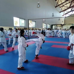 Karatecas mazatlecos se preparan rumbo a la etapa estatal de los Nacionales Conade