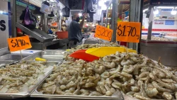 Inician la cuaresma con ricos mariscos