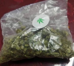 Marihuana encontrada en primaria de Los Mochis fue puesta por personas externas