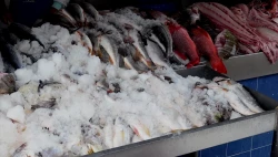 Mercado de mariscos de Mazatlán con buena racha por carnaval y cuaresma