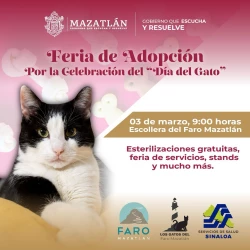 ¿Buscas a un gatito que llene de felicidad tus días?  Próxima Feria de Adopción en la Escollera del Faro