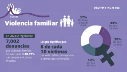 En el 80% de los casos la víctima en violencia familiar es una mujer
